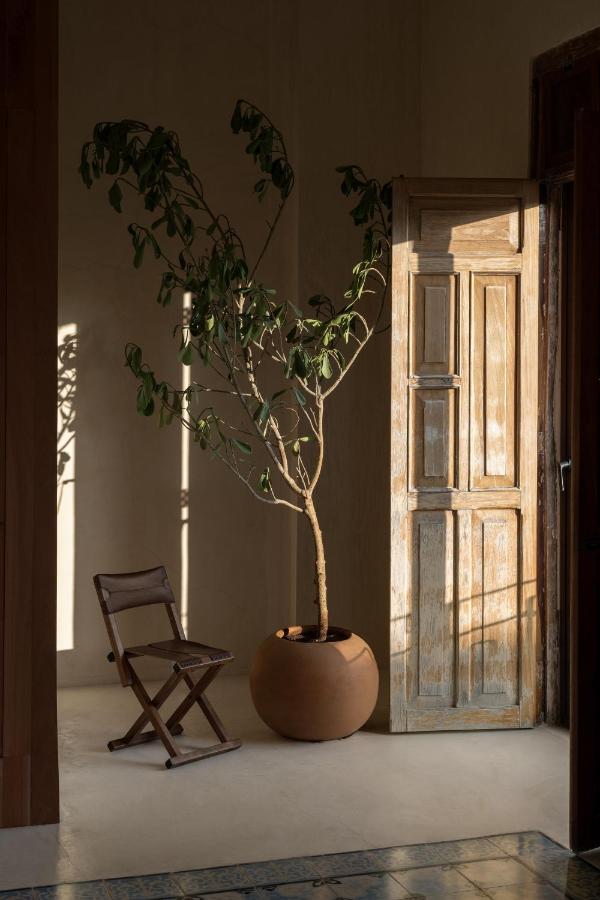 Appartamento Narrativ Lofts - Numen - Stylish Hideaway Campeche Esterno foto